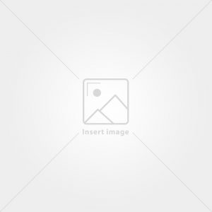 placeholder_1