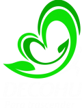 logo pequeño